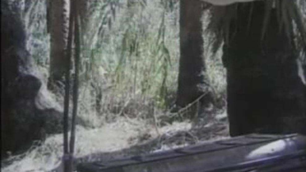 Selen Queen Of The Elephants Porn Videos