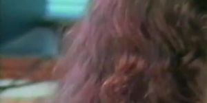 Nikki Randall - Sex Machine clip 1 (Tracy Adams, Daisy Chain, Nikki Lane, Breezy Lane)