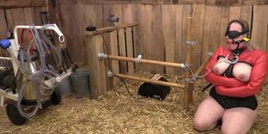 Hucow 38 Sybian And Goat Milker