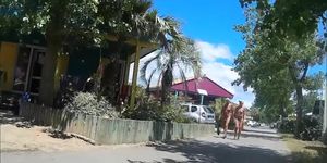 Mature nudists get to relax at a sunny resort while being filmed