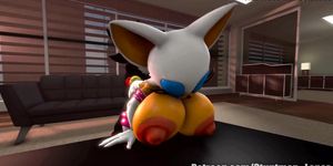 Sonic Team - 3D Rouge And Shadow Sex Rough