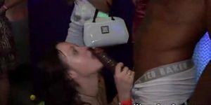 Real amateur party babes fucked from behind