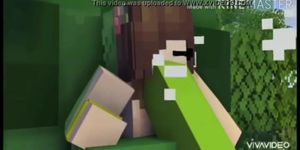 Minecraft sexe