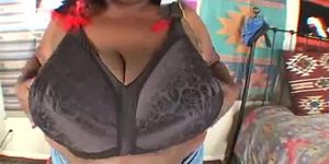 Ivy Huge tits5
