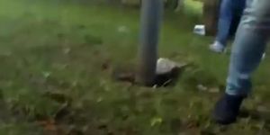 Chicks caught pissing outdoors in public