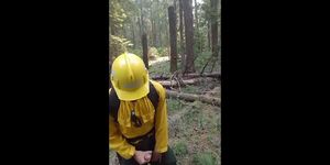 real wildfire worker (amateur )