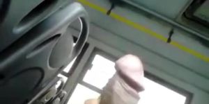 Bus cock flash. Que les parece la Reaccion de  ...