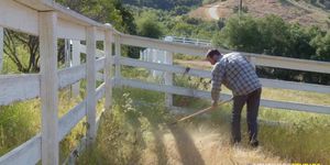 NextDoorStudios Boss Catches Workers Fucking On The Farm