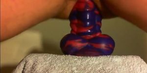 amateur Anal sex toy fun with flint the bad dragon