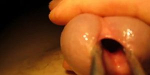 Urethral sounding and stretching with cumshot