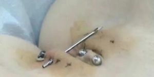 Getting my outer liabia pierced with eight cbr rings at once