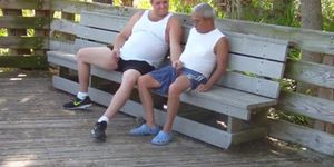 older gays have sex in public park