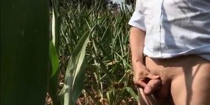 Summer Sun Corn  Wanking  Piss