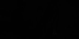 Kerala princy xavier