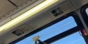 Bulge Flash on Bus