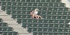 Couple Having Sex At The Stadium