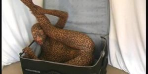 Flexible Rachel Girl in tiger catsuit