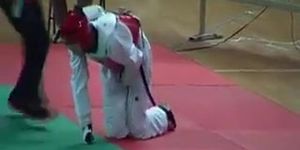 Taekwondo kick ends the fight