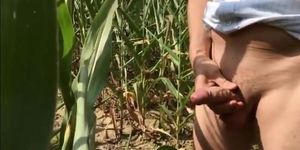 Summer Sun Corn  Wanking  Piss