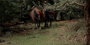 Pagan Forest I (PMV) Bisexual Outdoor Pagan Ritual Sex