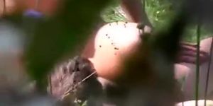 Outdoor sex in the nature