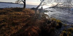 Romantic blowjob on the beach of love with ducks