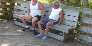 older gays have sex in public park