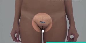 Real Female Anatomy - Visual Examination of the Vulva 1