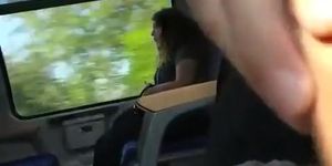 Guy plays with his dick in the train