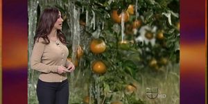 2010-12-14 Primer Impacto Weather (Jackie Guerrido)