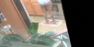 Black amateur walks around the house with her saggy boobs out