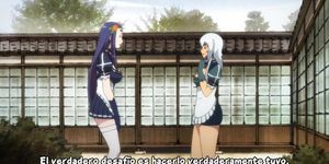 Hyakka Ryouran: Samurai Bride Specials 2 (Hentai Samurai)