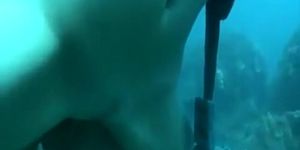 Scuba diving couple fucks in the ocean