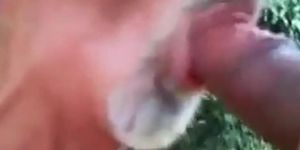 Je suce une grosse bite - partouze gay en plein air avec un ours amateur