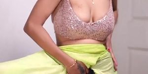 Lavanya Manickam Bold Saree Strip