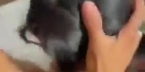 Michelle Rabbit blowjob and fuck