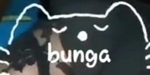 Bunga