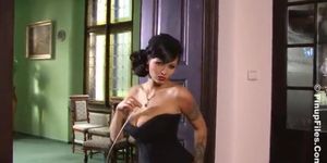 Dominno   Vintage Corset 1