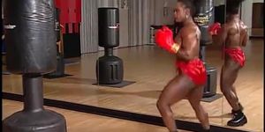 D. C. F. Muscle Boxing Training (Topless Boxing) FBB