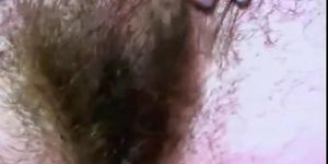 Hairy Armpits and Pussy on Webcam - Amateur Solo Show