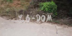 DOM?Zz???????????SM???????????