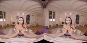 Asian Bunny VR