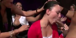 Sexy College Babes Blow Strippers