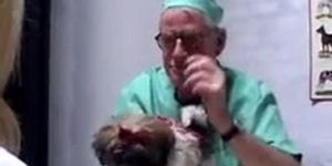 Slutty blonde shows her body to the older doctor