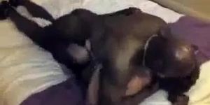 husband watches as his wife spreads her legs for horny black bull as he ravages his wife's tight cunt & breeds her in fr