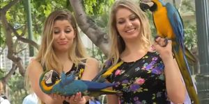 Nicole and Veronica: Waikiki Outdoor Lesbian Heat 1