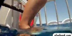 Sexy babes swam in shark cage and snowboarding topless