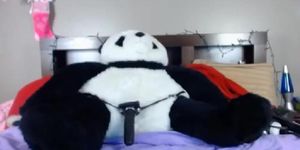 Sailor Dawn post panda screw chill pt2