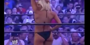 wwe divas ass