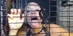 Ariella Ferrera webcam in a cage